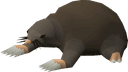 Giant Mole