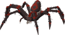 Venenatis