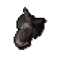 Draconic visage