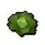 Cabbage