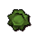 Cabbage round shield
