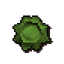 Cabbage round shield