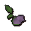 Cave nightshade