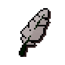 Feather