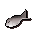 Raw herring