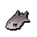Raw tuna