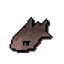 Tuna