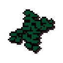 Seaweed