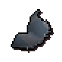 New crystal shield