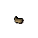 Marigold seed