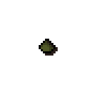 Rosemary seed