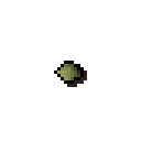 Jangerberry seed