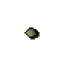 Jangerberry seed
