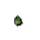 Cactus seed