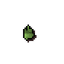 Cactus seed