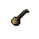 Onion seed