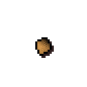 Tomato seed