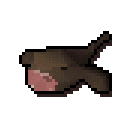 Monkfish
