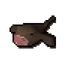 Monkfish