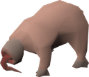 Bloodveld