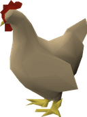 Chicken