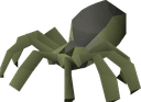 Crypt spider
