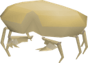 King Sand Crab