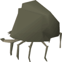 Rock Crab