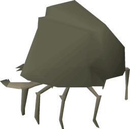 Rock Crab
