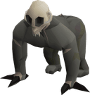 Tortured gorilla