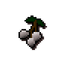 White berries