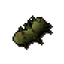 Potato cactus
